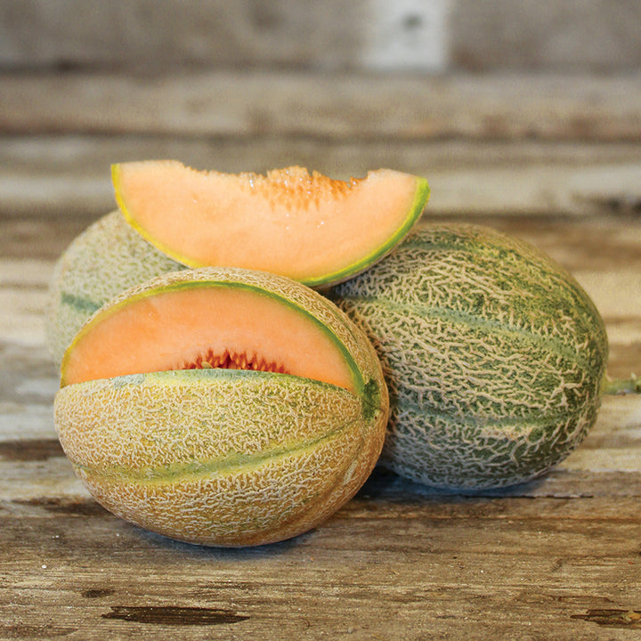 Hale's Best 45 Melon with wedge removed.