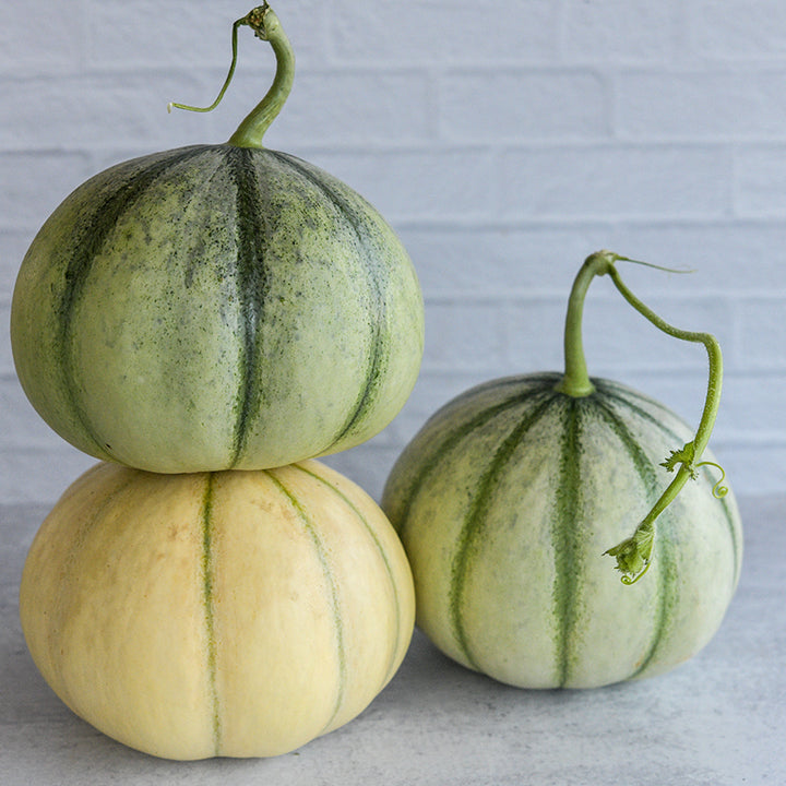 Hara Madhu melons in multiple shades.