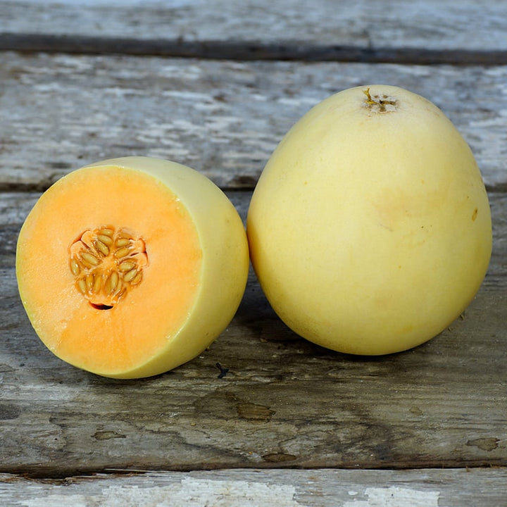 Melon Seeds, Honeydew Orange Flesh