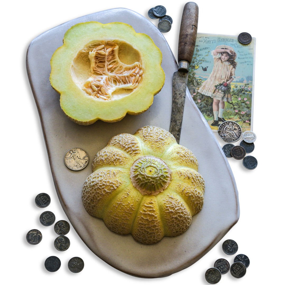Jenny Lind Melon with coins for size reference and props on a white background.