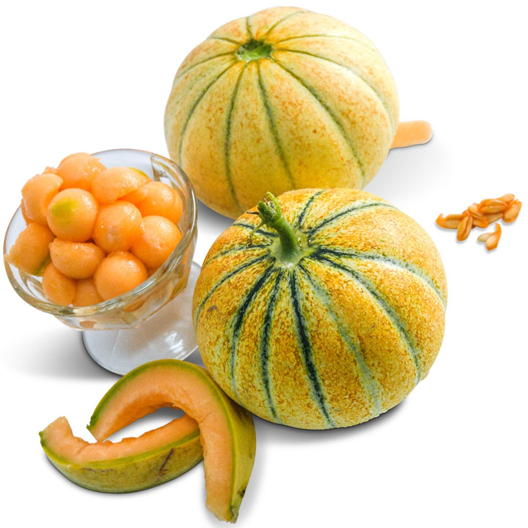 Madhu Ras Rajasthan Honey Melons with melon balls on a white background.