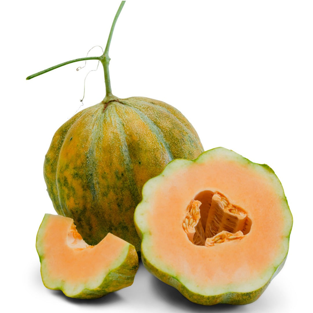 Pair of Petit Gris de Rennes Melons on a white background.