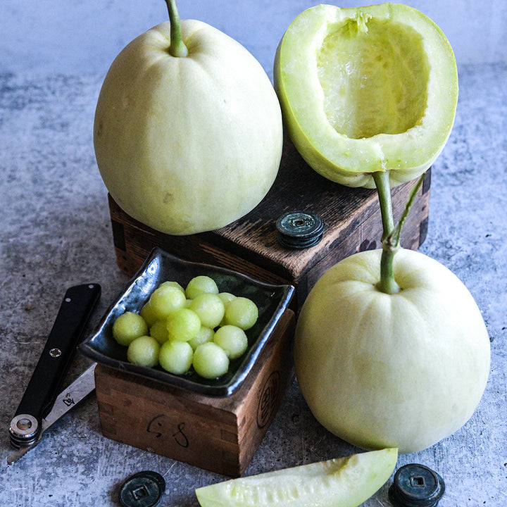 Melon Seeds, Sakata's Sweet