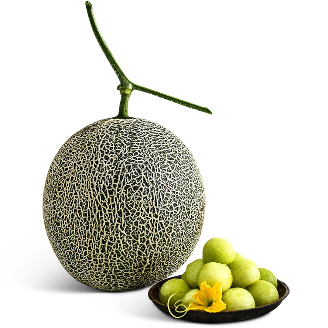 Sugar Dew melon with melon balls on a white background.