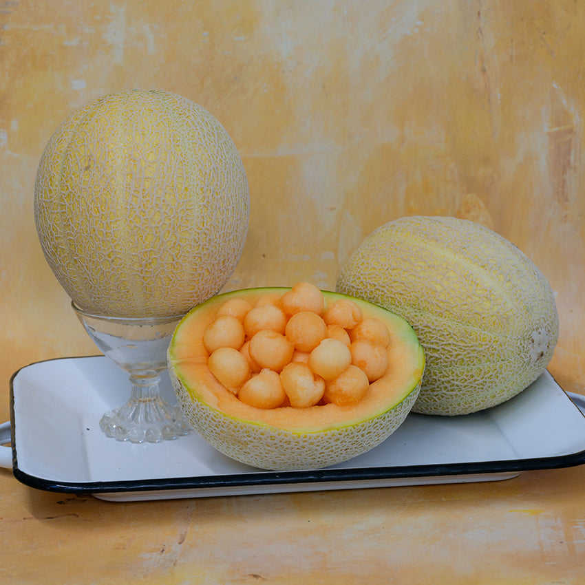 Sweet Passion Melon with yellow background.
