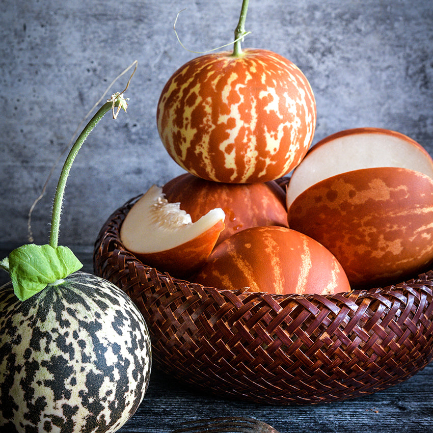Tigger Melon in varying shades stacked in wicker basket.
