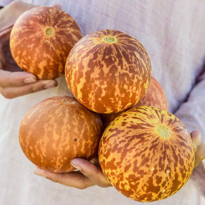 Tigger Melons being held in a stack.