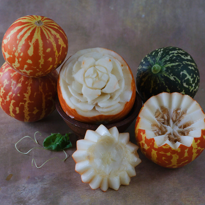 Melon Seeds, Tigger