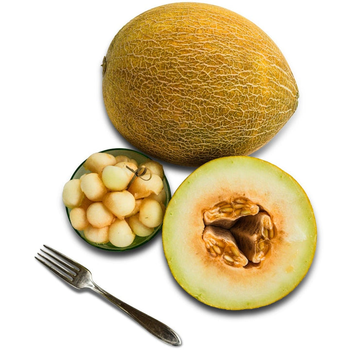 Tommy Apple Melon with melon balls on a white background.