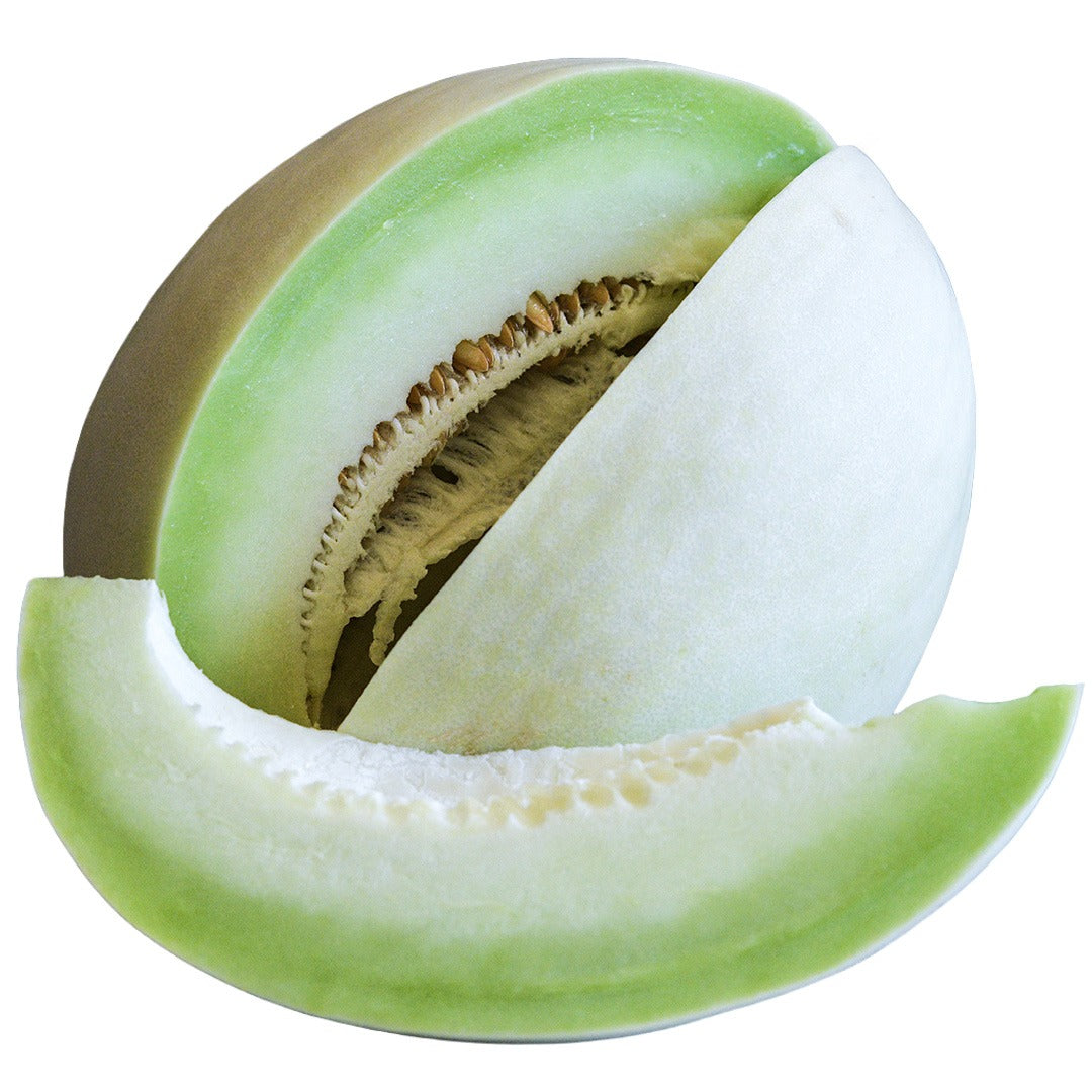 White Lanzhou Melon with slice removed on a white background.