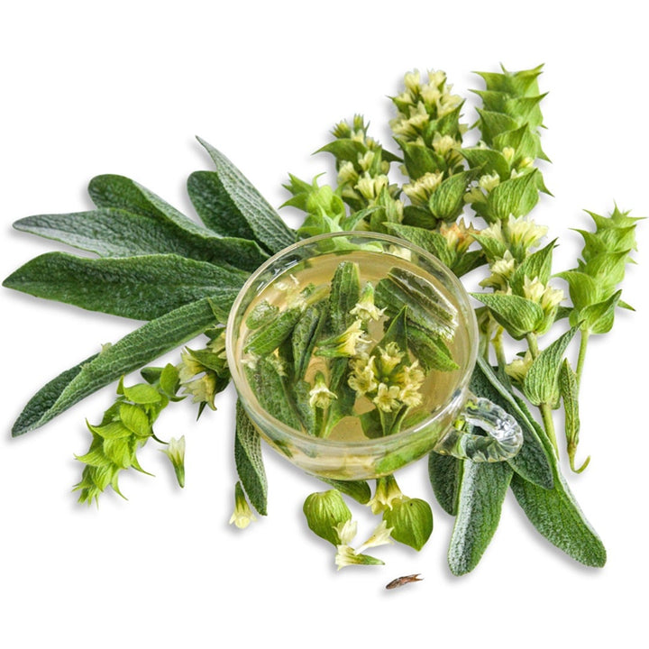 Greek Mountain Team Mint with tea on a white background.