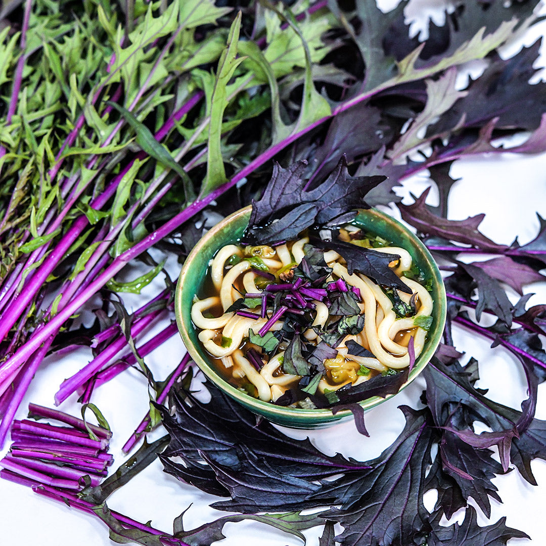 Benigoromo Mizuna leaves and stems surrounding a bowl of Miso soup on white background.