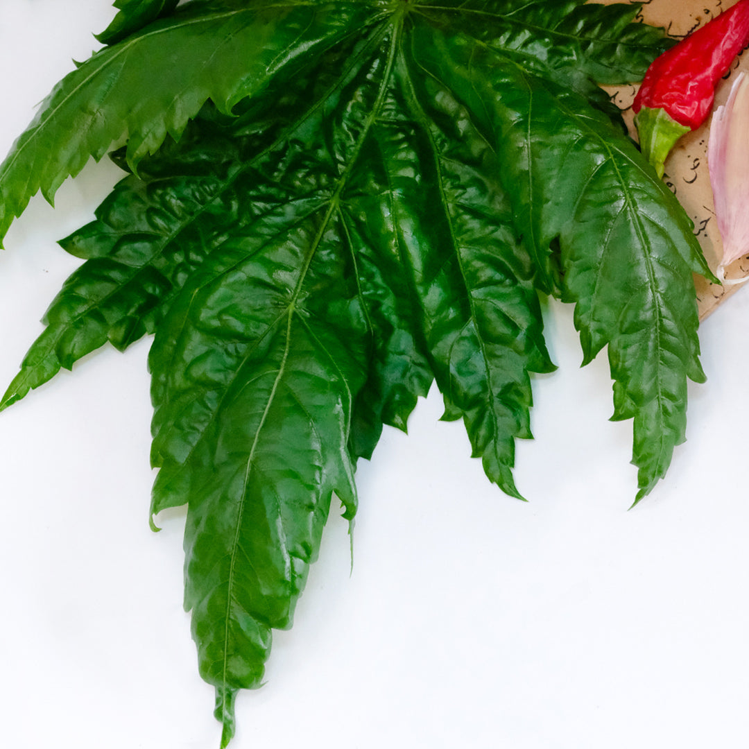 A close-up of Oniyaya Molokhia leaf with a chili and garlic on a white background.