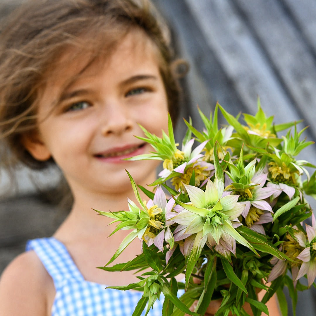 A smiling girl holding a posey of Spotted Bee Balm.