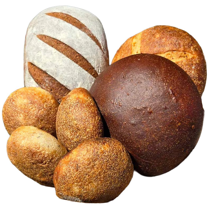 Assorted loaves of bread made from Ms. Debbie’s Rye Starter on a white background.