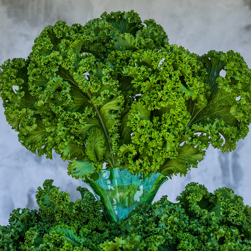 Green Wave Mustard leaves in vase.