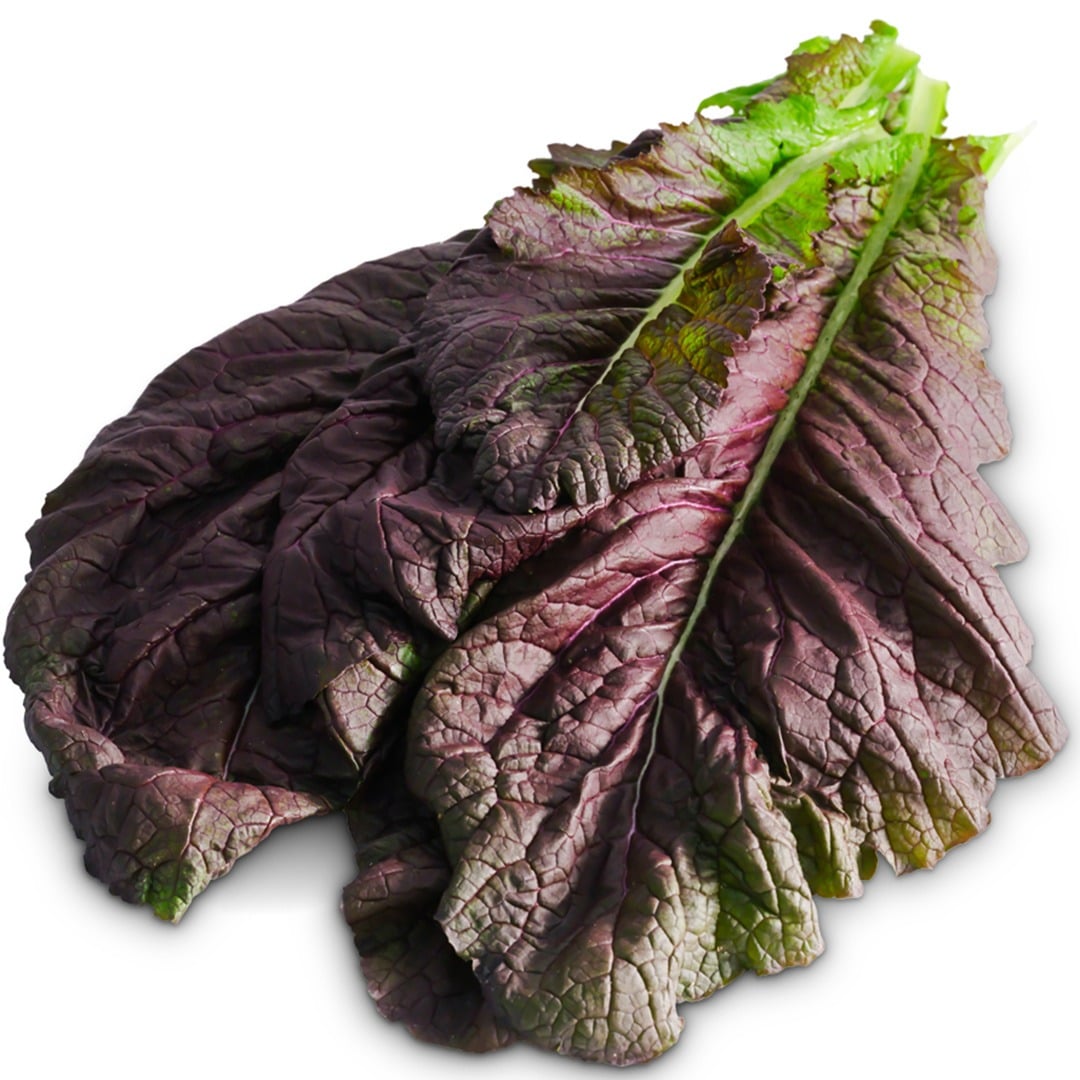 Japanese Giant Red Mustard leaves on a white background.