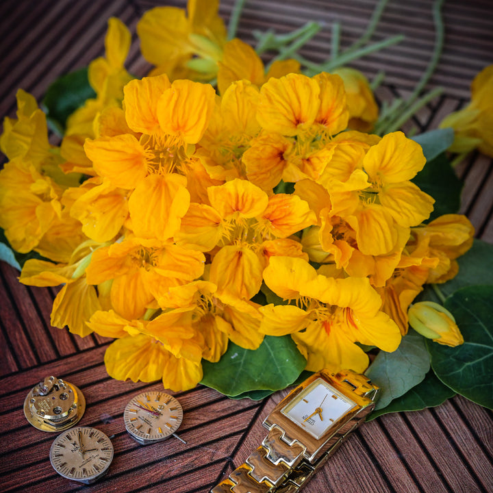 Whirlybird Gold Nasturtiums on a parquet wood surface with a gold watch.