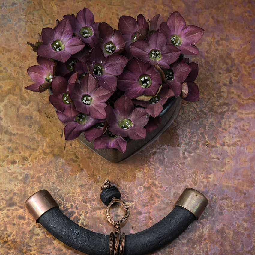Arrangement of Bronze Queen Nicotiana blooms on a copper background.
