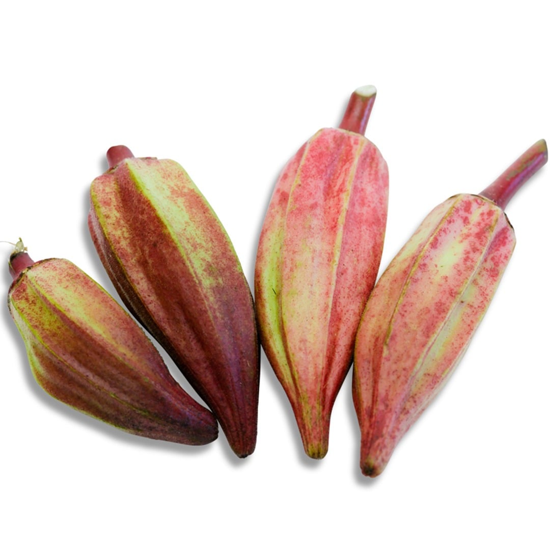 Alabama Red Okra on a white background.