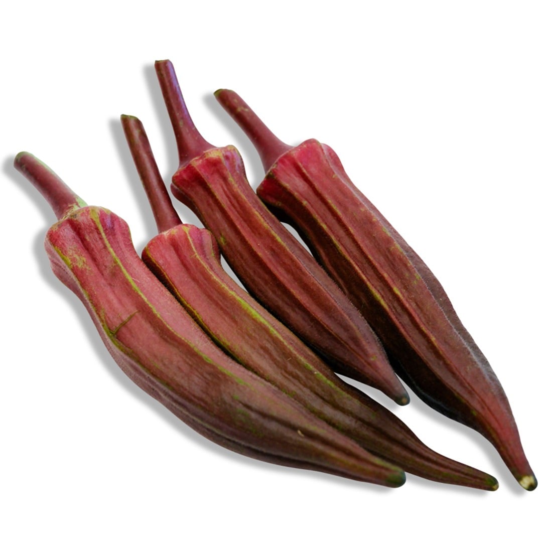 Burgundy Okra on a white background.