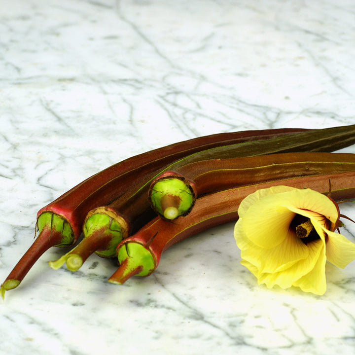 Burgundy Okra with open flower.