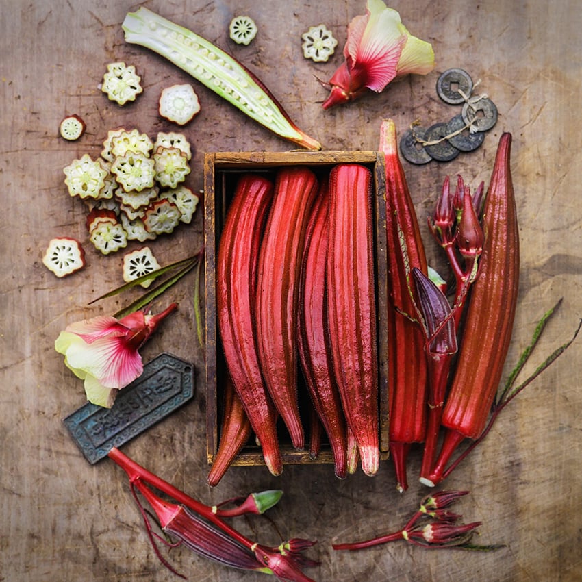 Okra Seeds, Jing Orange