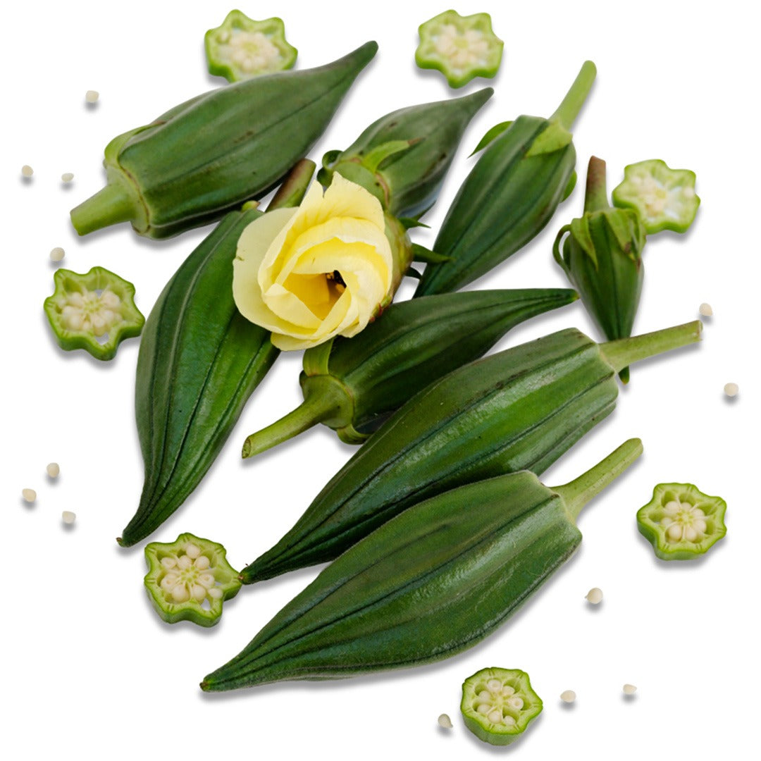 Cut and whole Nkruma Tenten Okra on a white background.