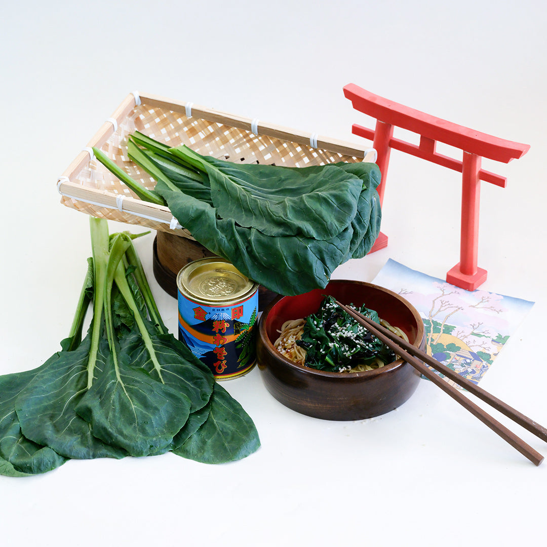 Cooked and raw Spinach Mustard "Old Tokyo" Komatsuna with Japanese props.