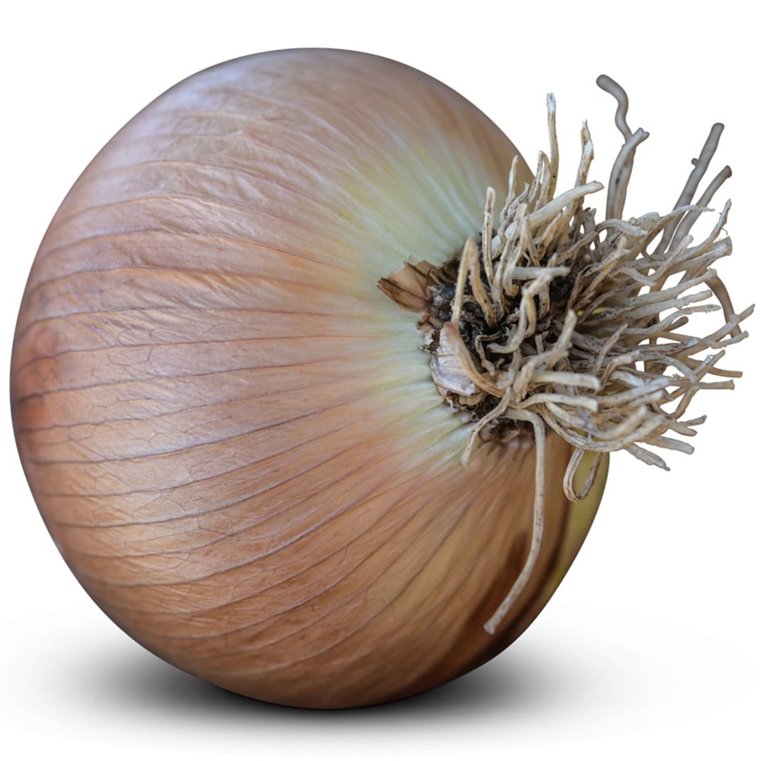 Onion Seeds, Australian Brown