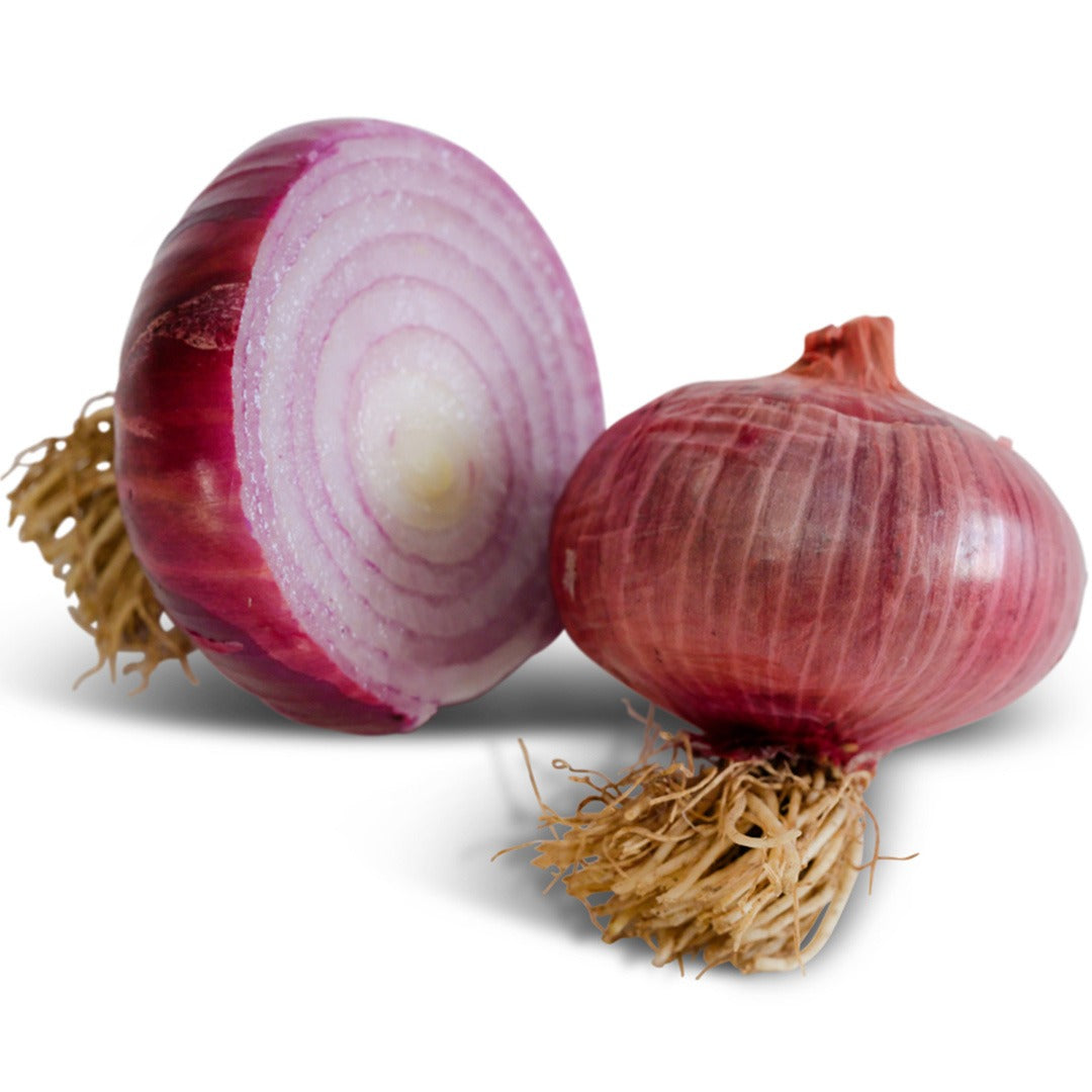 Flat of Italy Onions on a white background.