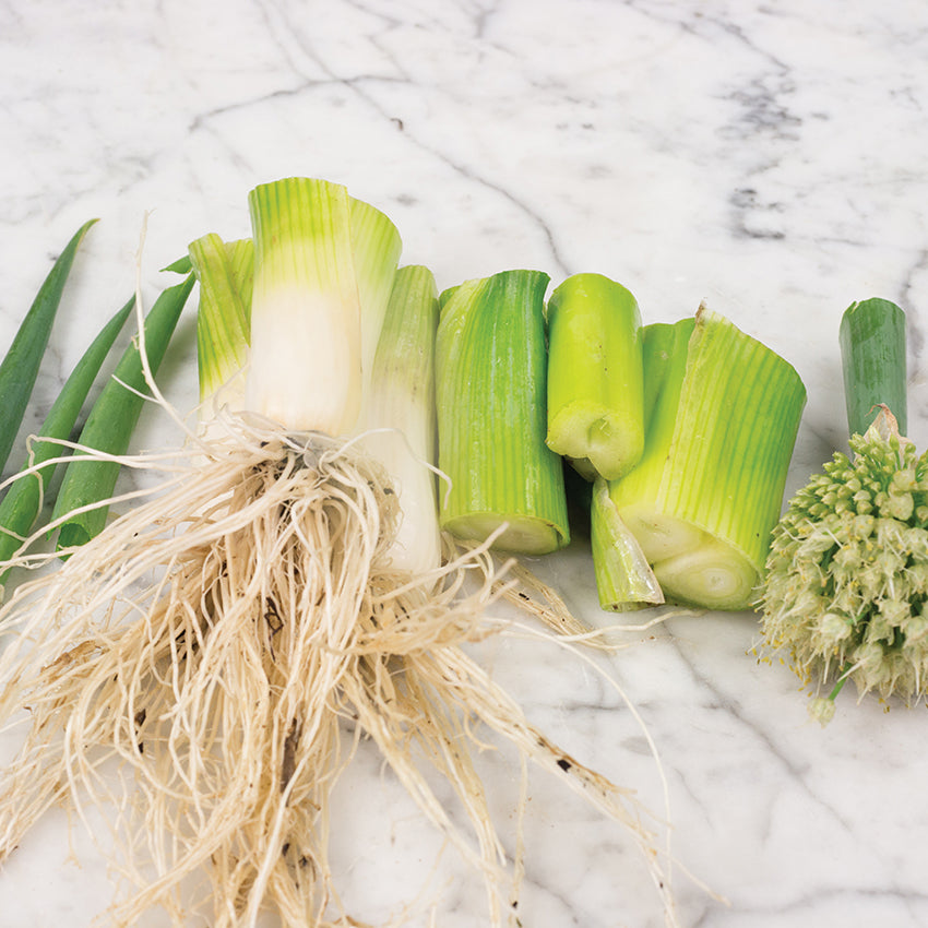 Ishikura Onion cut showing all parts