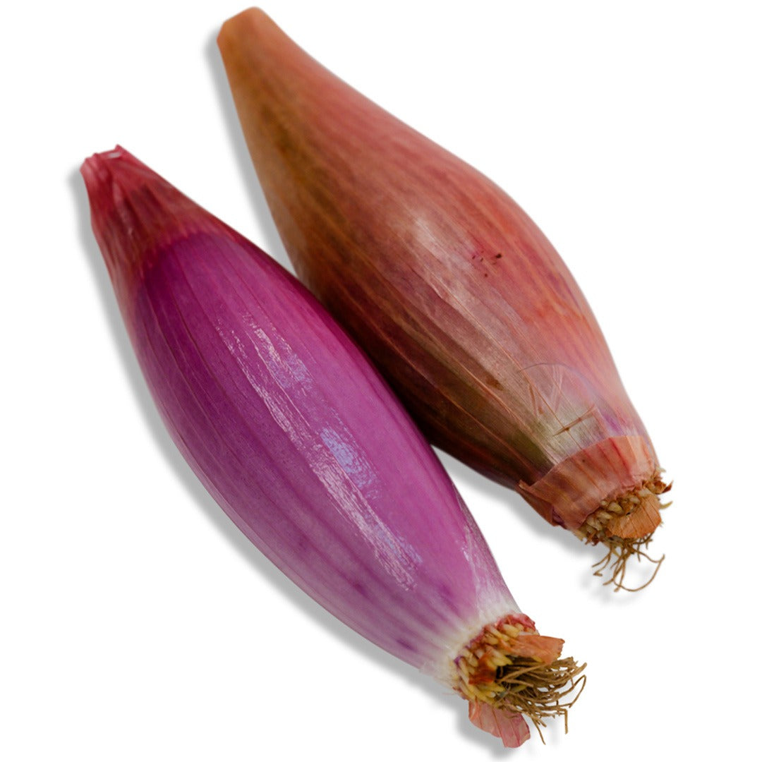 Pair of Red of Florence Onions on a white background.