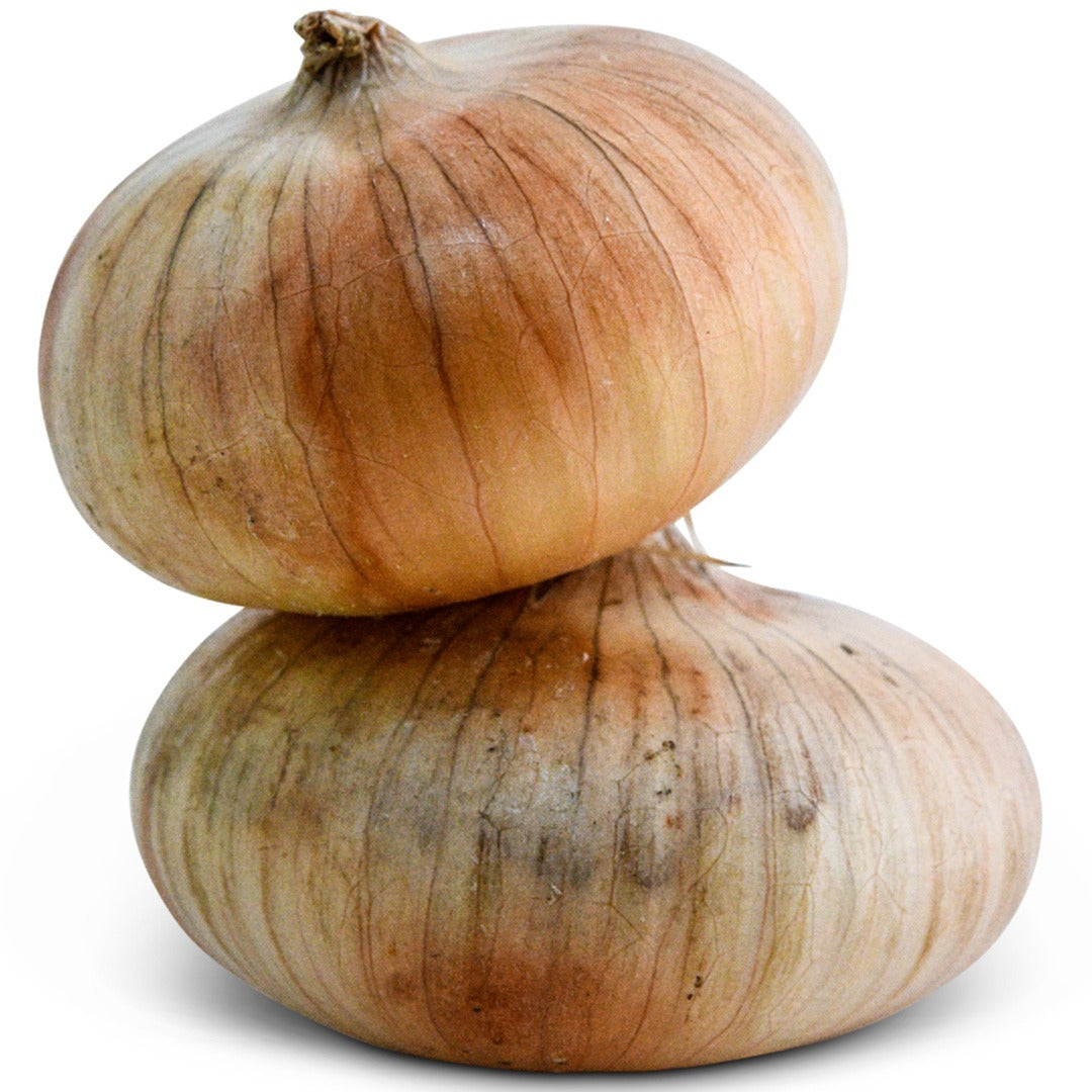 Pair of Unzen Early Flat Onions on a white background.