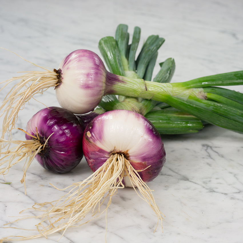 Wethersfield Onions on marble countertop.
