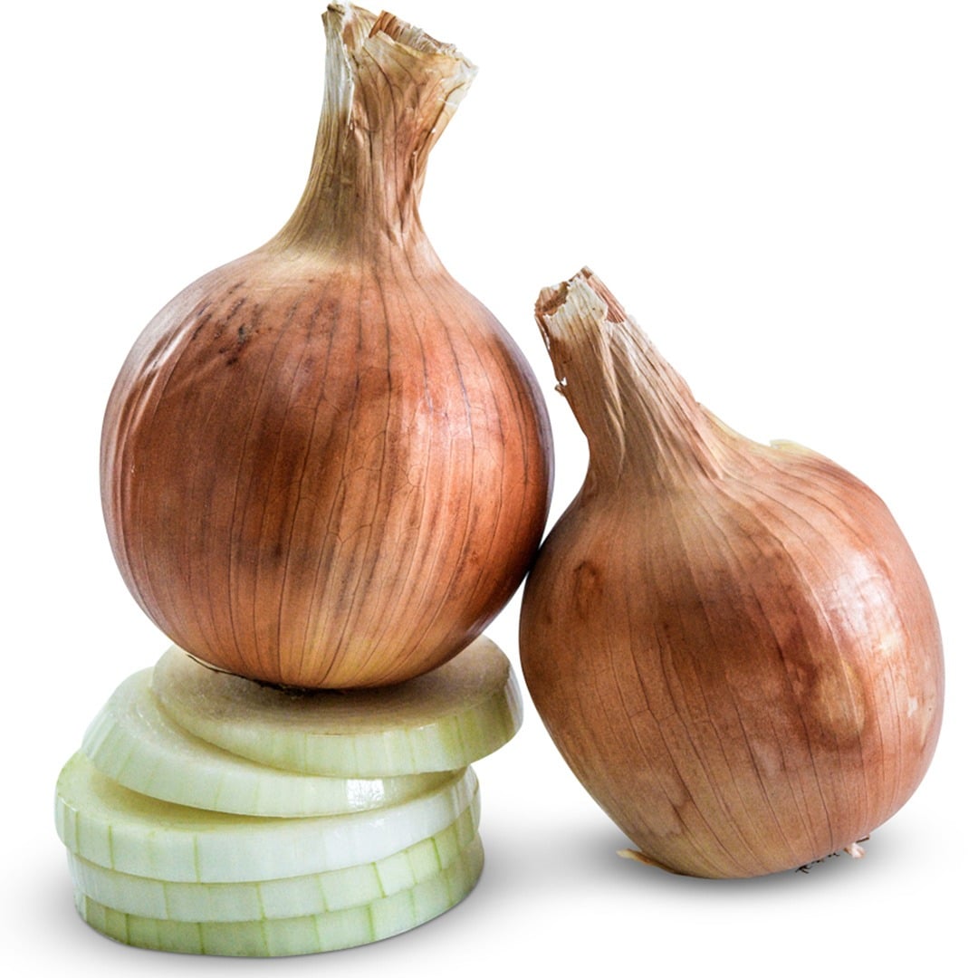 Pair of Yellow Sweet Spanish Onions on a white background.