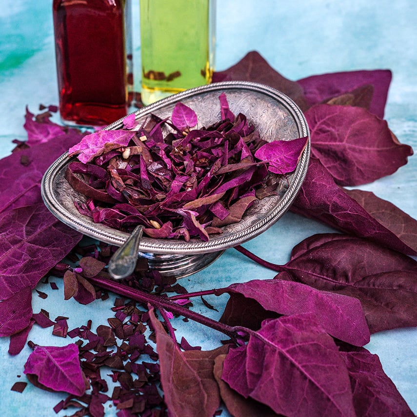 Red Orach salad with leaves and oil and vinegar on a light blue background.