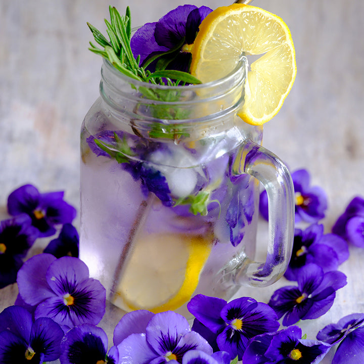 Lake of Thun Pansy with a cup of pansy and lemon drink on a light background.
