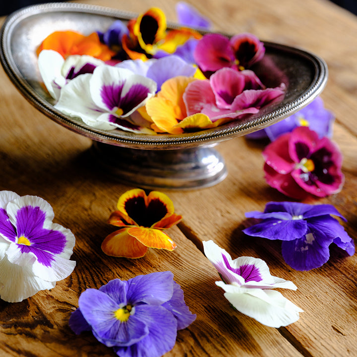 Trumpets Mix Pansy blooms in a metal stand on top of a wooden counter top.