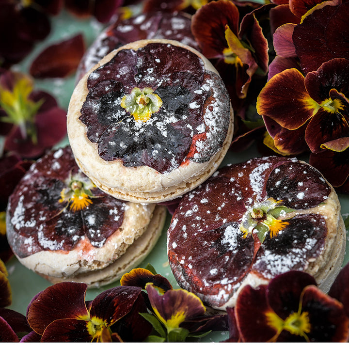 Detailed close-up of Arkwright Ruby Viola blooms and pansy decorated macaroons on a plate.