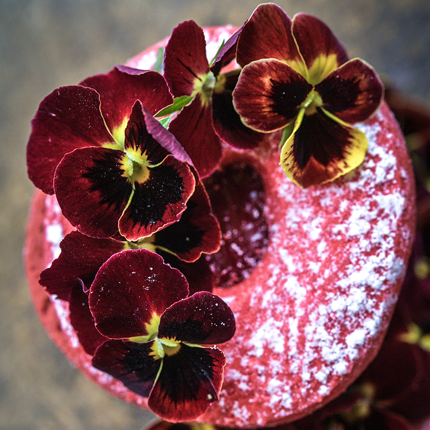 A bunch of Arkwright Ruby Viola Pansy with some red velvet cakes on a wood board.