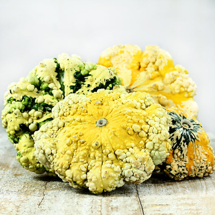 Four Patisson Strie Melange Squash resting on an old wooden background.
