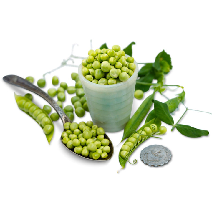 Pea Seeds, Charmette Petit Pois Garden