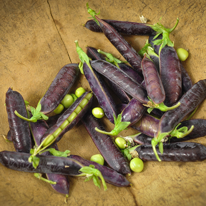 King Tut Purple Pea on wooden counter.