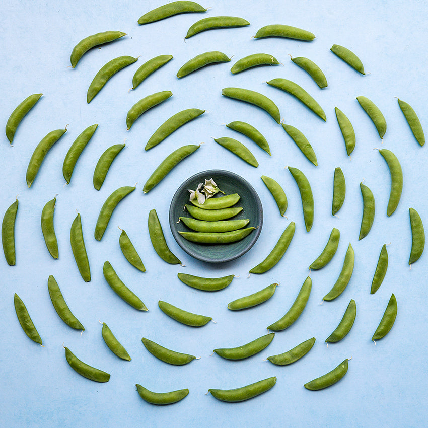 Sugar Daddy Snap Pea in concentric circles surrounding bowl of peas on blue background.