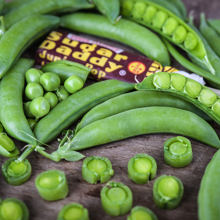 Sugar Daddy Peas along with a sugar daddy candy on white and brown background