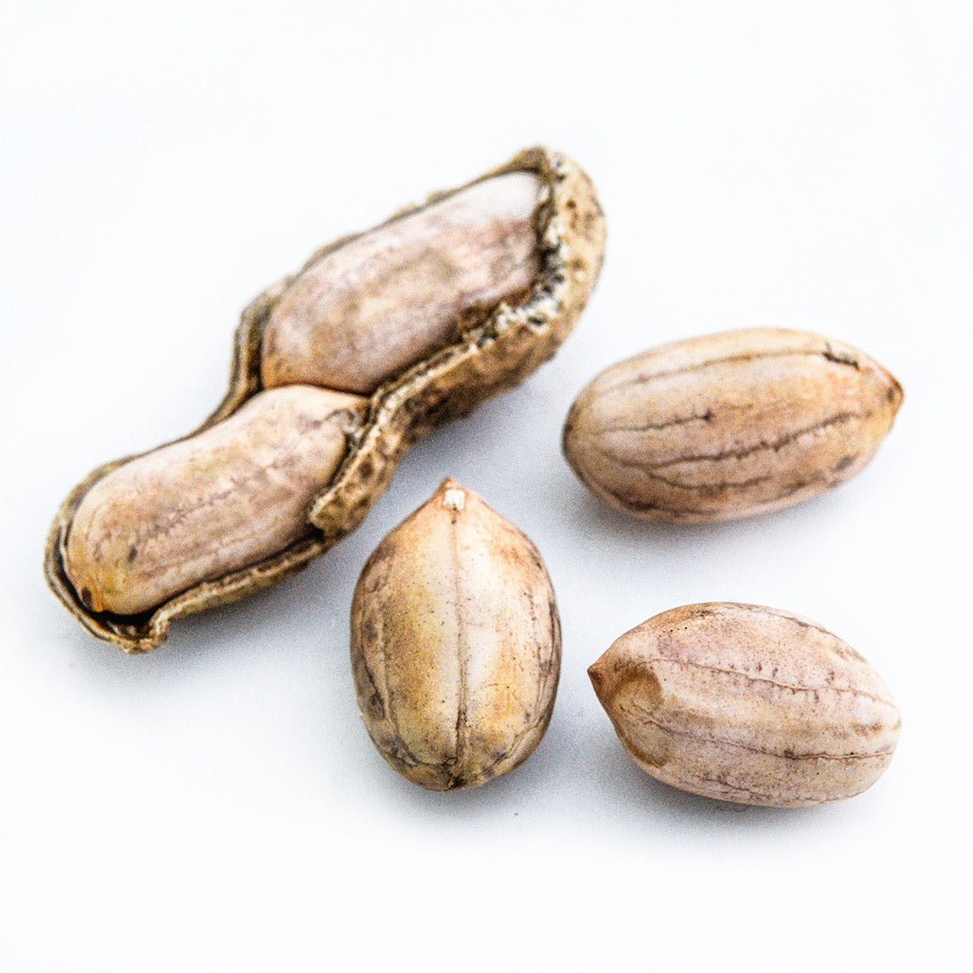 Rabat Market Peanuts on the half shell with some nuts loose on a white background.