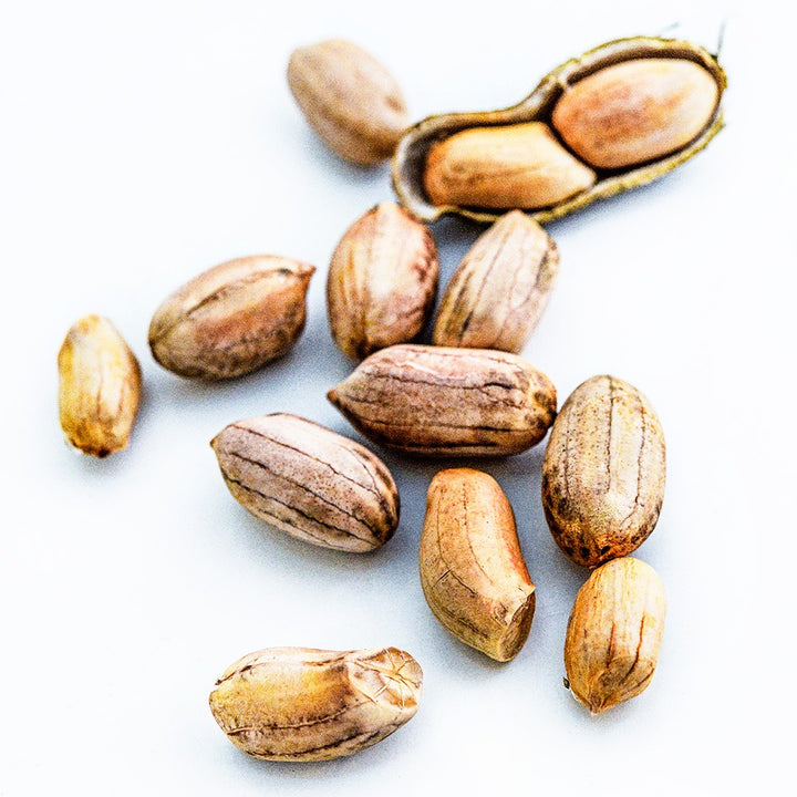 Rabat Market Peanuts arranged on a white background.