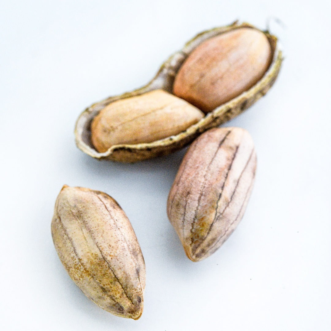 A close-up of Rabat Market Peanuts on a white background.