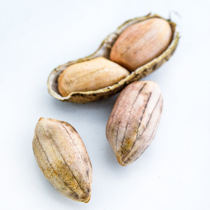 A close-up of Rabat Market Peanuts on a white background.